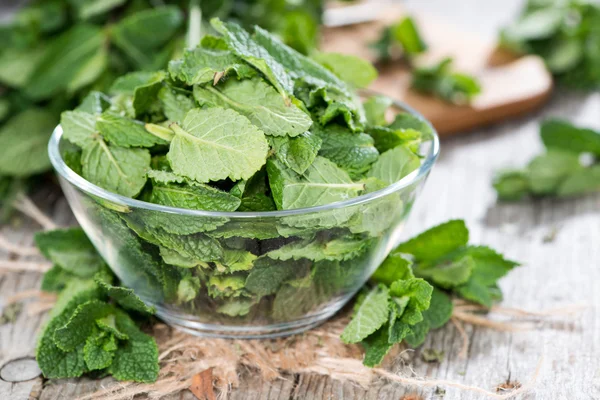 Fresh Mint Leaves — Stock Photo, Image