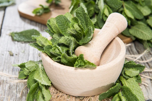 Fresh Mint — Stock Photo, Image