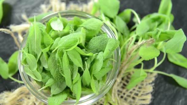 Parte di salvia fresca — Video Stock