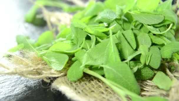 Färsk salvia del — Stockvideo