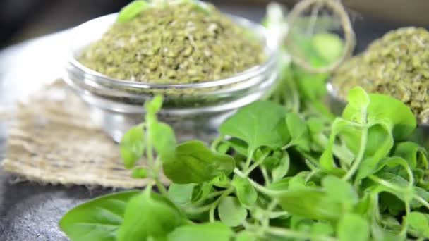 Getrockneter Oregano in Schalen — Stockvideo