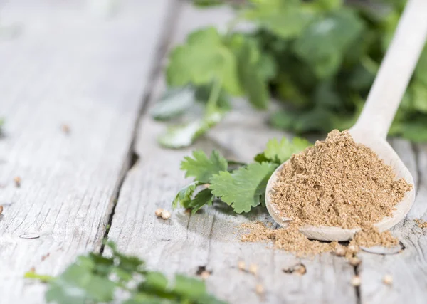 Cilantro Powder — Stock Photo, Image