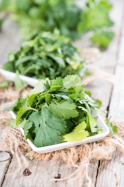 Cilantro Leaves — Stock Photo, Image