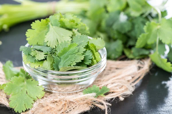 Cilantro — Foto de Stock