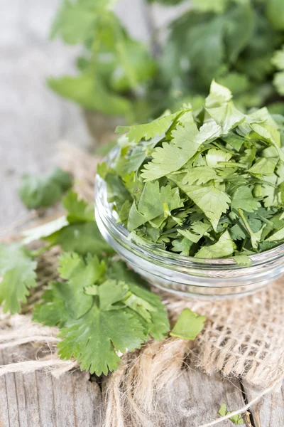 Τμήμα του το φρέσκο cilantro — Φωτογραφία Αρχείου