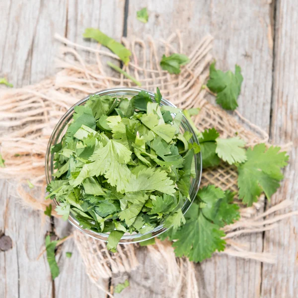 Cilantro — Stock Photo, Image