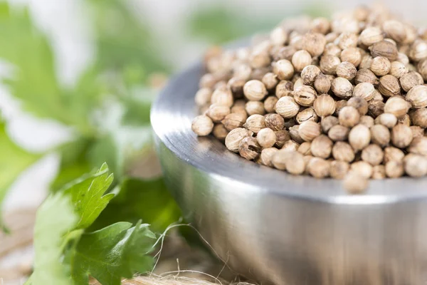 Bowl with Coriander Seeds — Stock Photo, Image