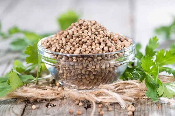 Coriander Seeds — Stock Photo, Image