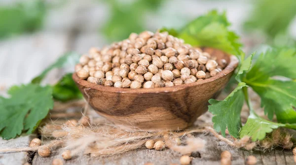 Heap of Coriander (seeds) — Stock Photo, Image