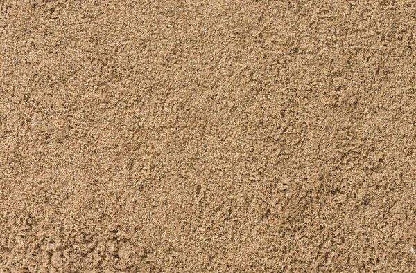 Κολίανδρο σκόνης — Φωτογραφία Αρχείου