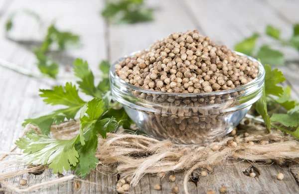 Schale mit Koriandersamen — Stockfoto