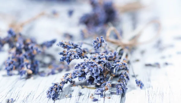 Dried Lavender — Stock Photo, Image