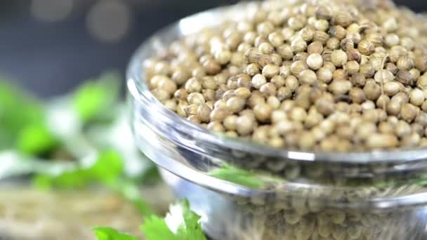 Montón de semillas frescas de cilantro — Vídeos de Stock