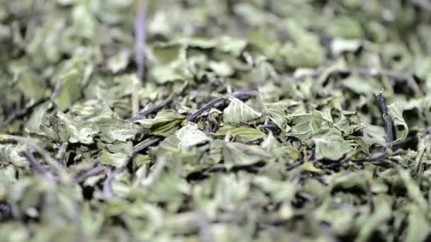 Foglie di menta essiccate — Video Stock