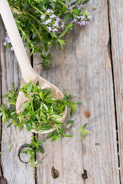 Savory fresco do inverno em uma colher de madeira — Fotografia de Stock