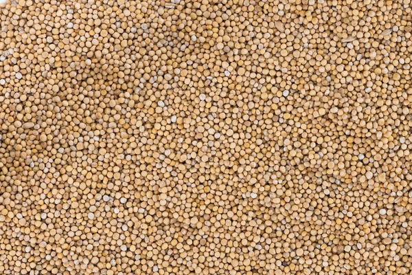 Mustard Seeds (background) — Stock Photo, Image