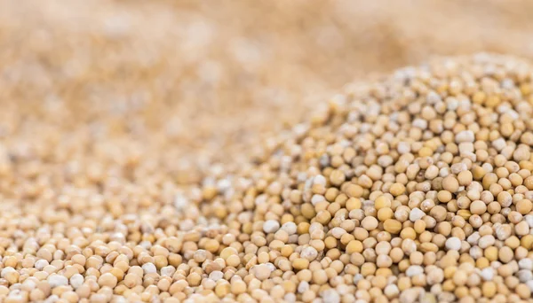 Mustard Seeds (background) — Stock Photo, Image