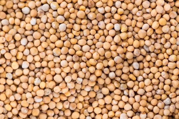 Mustard Seeds (background) — Stock Photo, Image