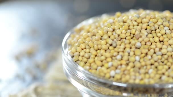 Fresh Mustard Seeds — Stock Video