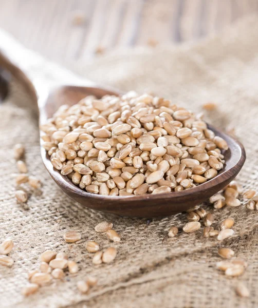 Porzione di cereali di grano — Foto Stock