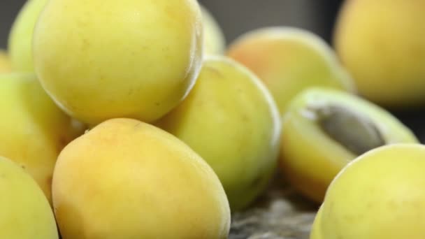 Свежие абрикосы — стоковое видео