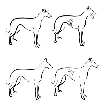 tazı köpekleri logo vektör