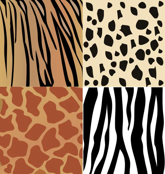Set of giraffe, cheetah, tiger and zebra skins vector — Stock Vector