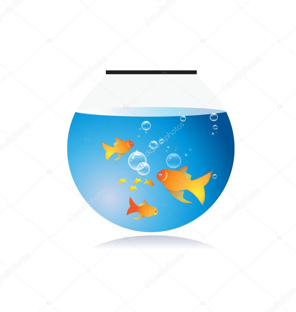 Goldfish bow with bubbles vector