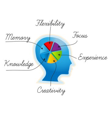 insan beyni grafik yeteneği kavramları