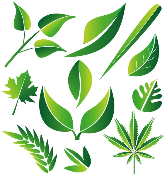 Conjunto de hojas estilizadas verdes vector ilustración — Vector de stock