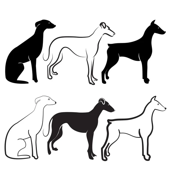 Doberman en greyhound honden — Stockvector