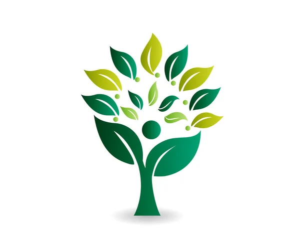 Logo Árbol Hojas Ecología Salud Naturaleza Personas Identidad Tarjeta Web — Vector de stock