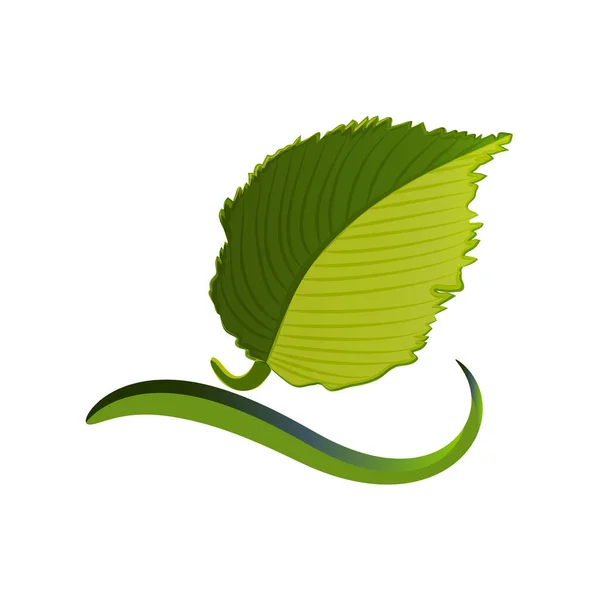 Ecological Leaf Logo Vector Image Design — Stock Vector