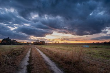 Tarlada toprak yol ve güneş battıktan sonra bulutlar, yaz manzarası.