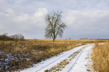 Çayırdaki ağaç ve karla kaplı toprak yol.