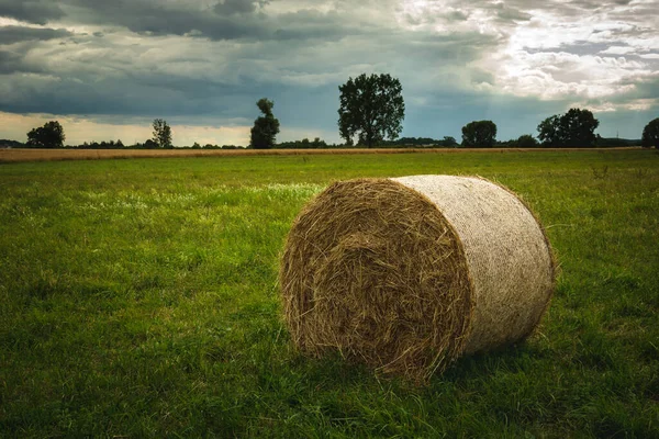 緑の草原と曇り空の丸い干し草の玉 ノヴィニー ポーランド — ストック写真