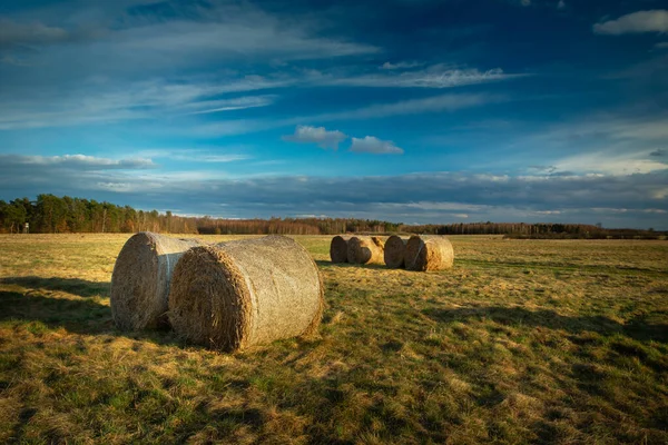 牧草地で丸い干し草の山の斜面 チェコ ポーランド — ストック写真