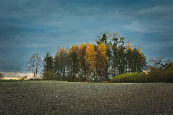 Pürüzlü tarlalar ve sonbahar ağaçları bulutlu bir günde — Stok fotoğraf