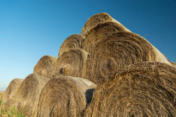 Round hay bales stacked and blue sky — Stock Photo, Image