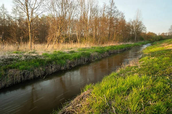 ポーランド東部のウヘルカ川の流れ スタンコウ — ストック写真