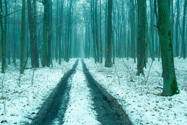 Chemin de terre à travers une forêt d'hiver brumeuse — Photo