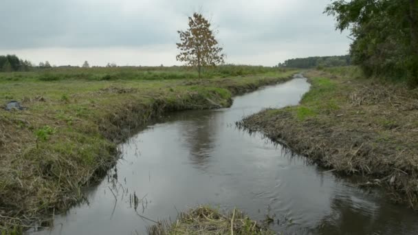 Mała Rzeka Uherka Wschodniej Polsce Widok Jesienny — Wideo stockowe