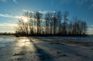 Çayırda donmuş su ve ağaçların arkasında güneş, Nowiny, Polonya
