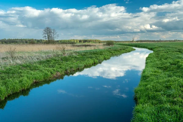 穏やかな小さな川と野生の牧草地 チェコ ポーランド — ストック写真