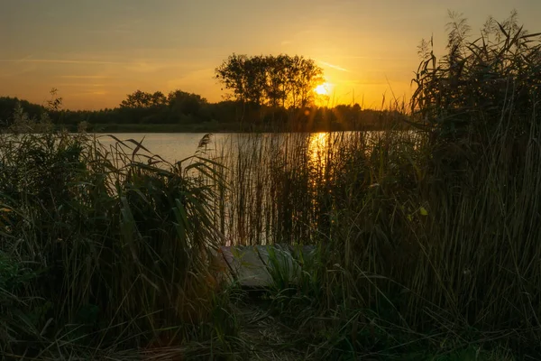 Pôr Sol Sobre Lago Calmo Com Cais Juncos Altos — Fotografia de Stock