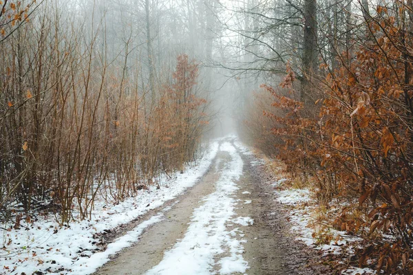 Chemin Terre Travers Une Forêt Brumeuse Hiver Jour Décembre — Photo