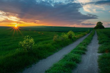Toprak yol tarlalarda ve gün batımında gökyüzünde, Staw, Polonya