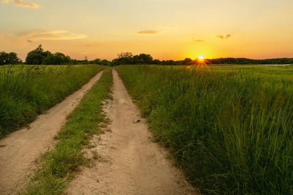 Piaszczysta Droga Przez Zielone Łąki Zachód Słońca Wiosenny Wieczór — Zdjęcie stockowe