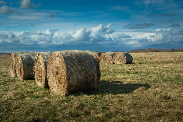 Runda Höbalar Äng Och Mulen Himmel Vårdag — Stockfoto