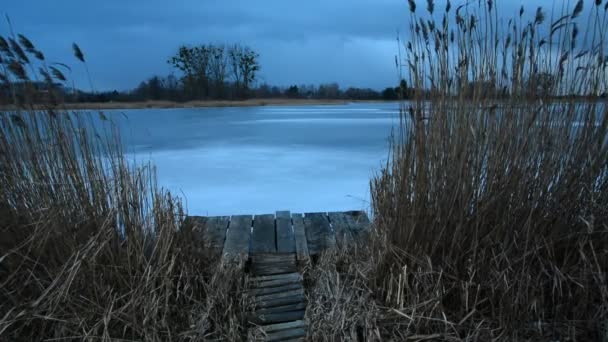 Cañas Muelle Madera Orillas Lago Helado Día Ventoso — Vídeos de Stock